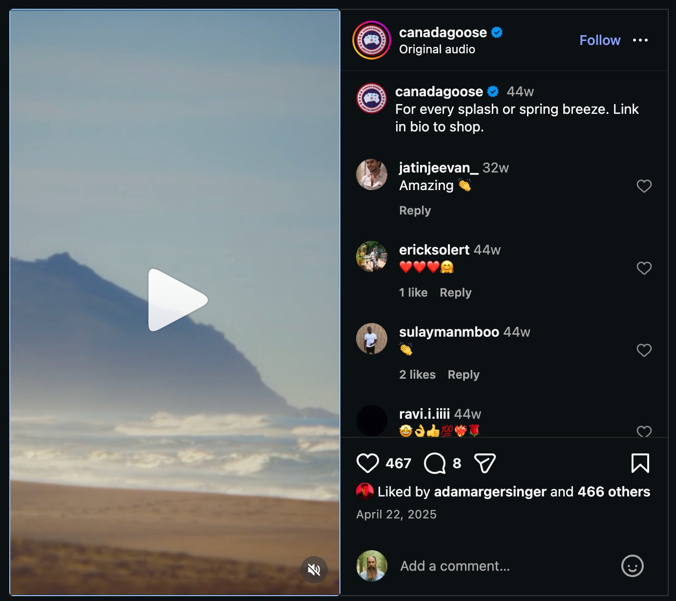 Canada Goose — coast