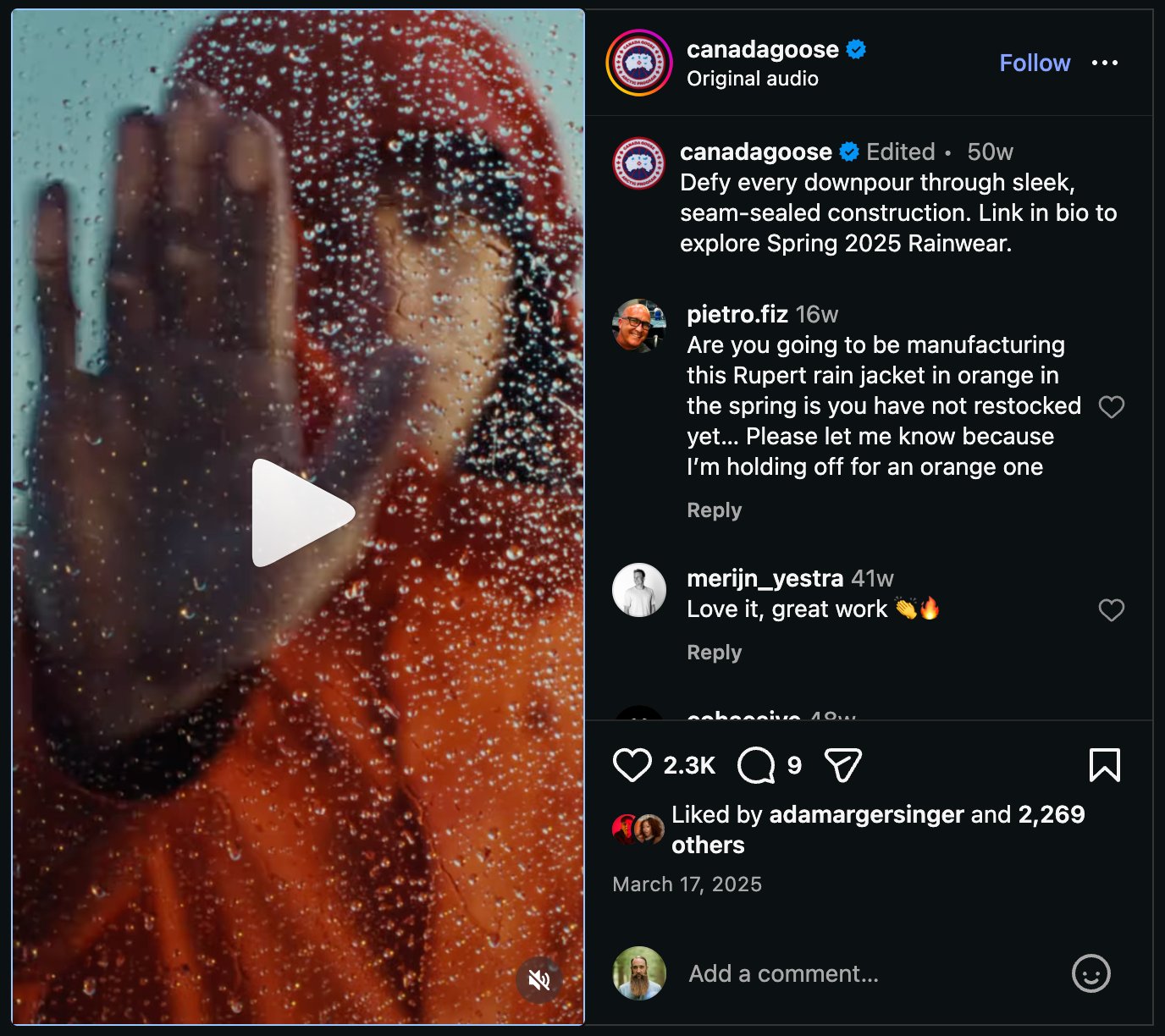 Canada Goose — rain