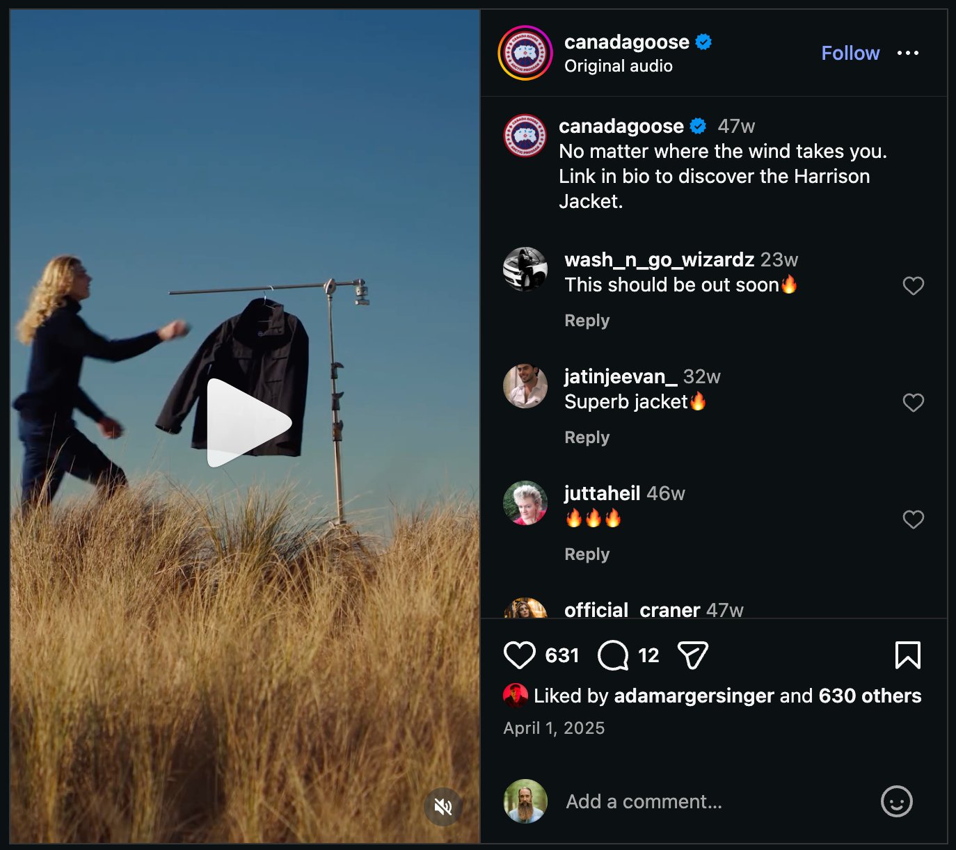 Canada Goose — wind